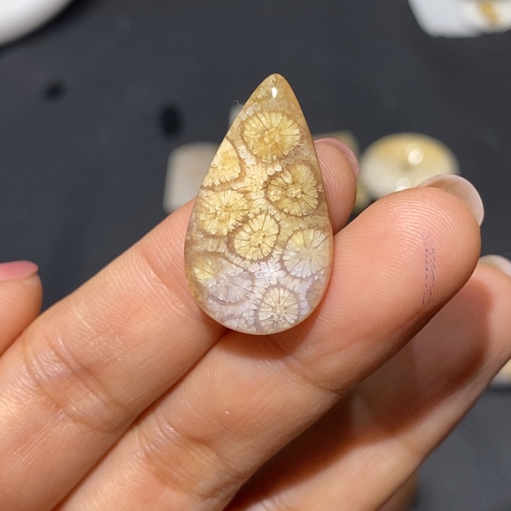 【闪购商品】未镶嵌珊瑚玉硅化玉