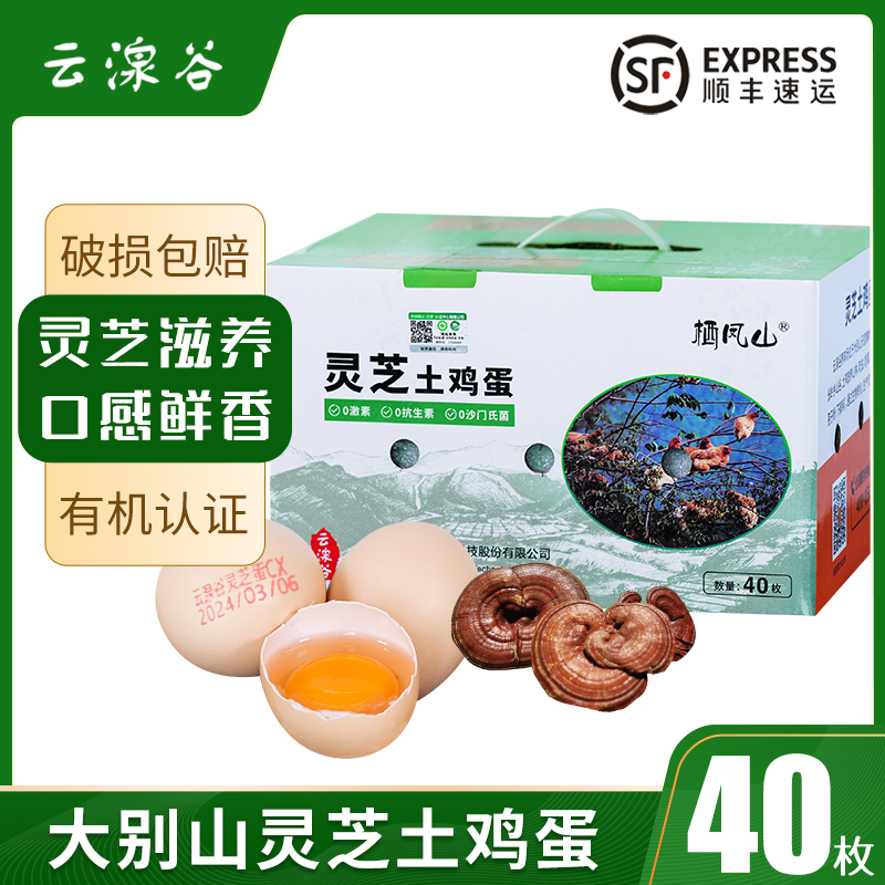 云湶谷 栖凤山牌 大别山灵芝土鸡蛋40枚高山散养现捡现发顺丰包邮