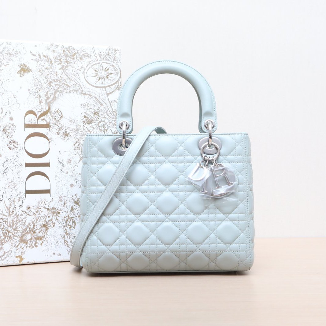 95新 DIOR/迪奥 戴妃包 五格 单肩包 2012 P254216489