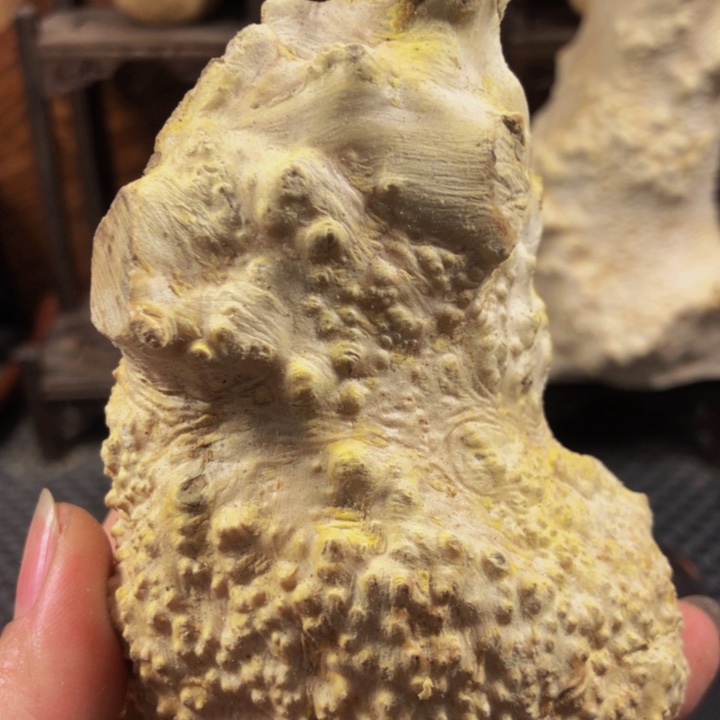 木精**作木料木料木料木料