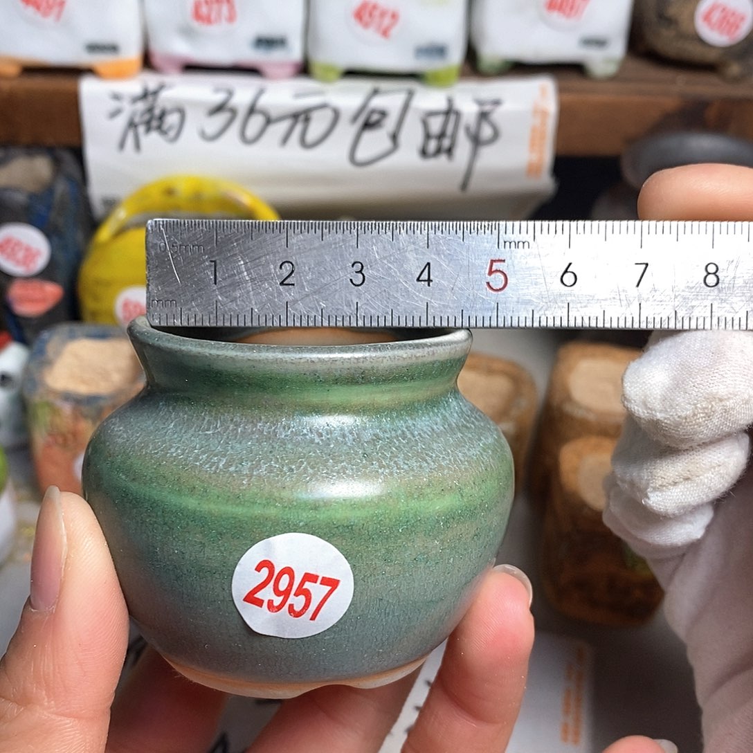 红陶拍5送一个小