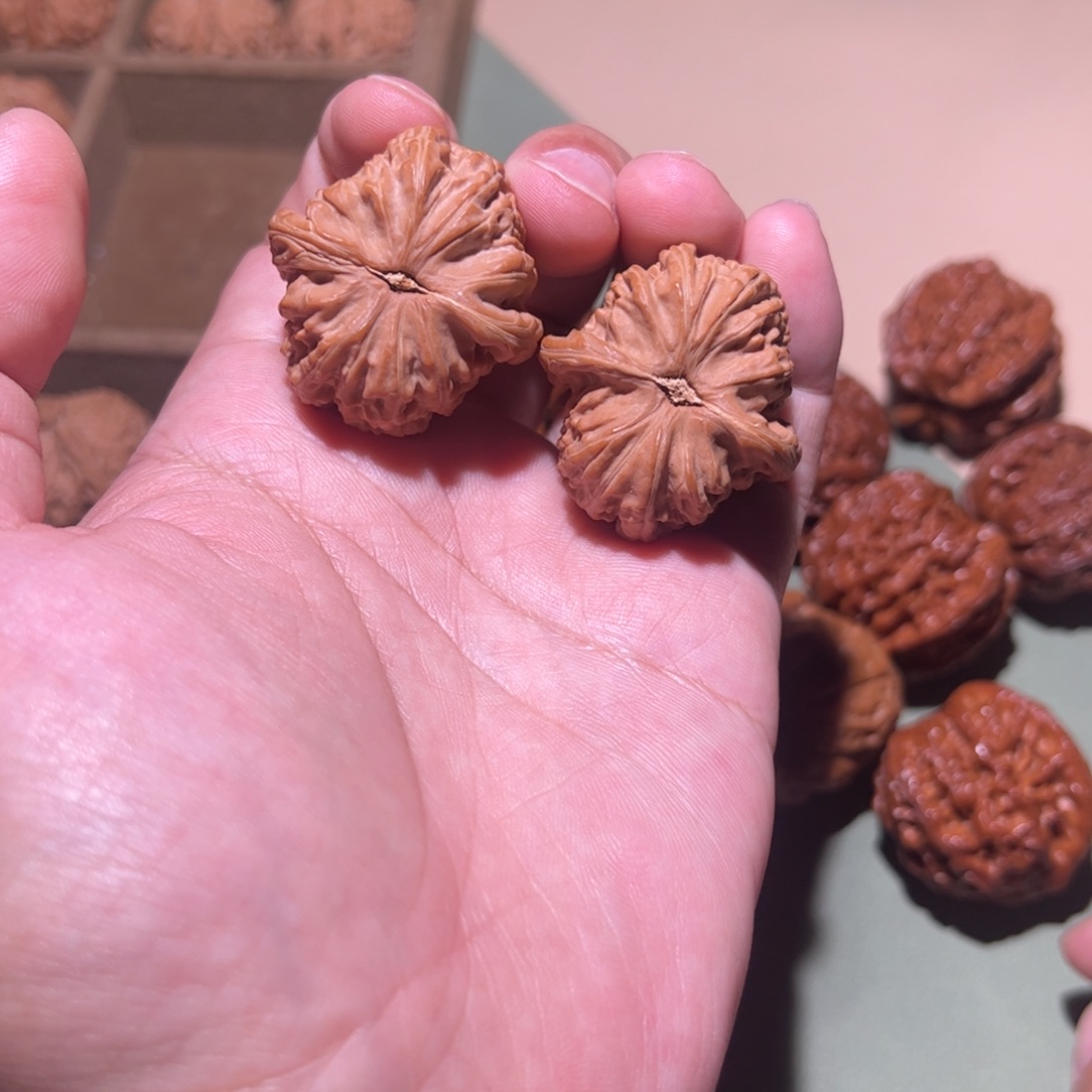 桃核把件34白狮子球白