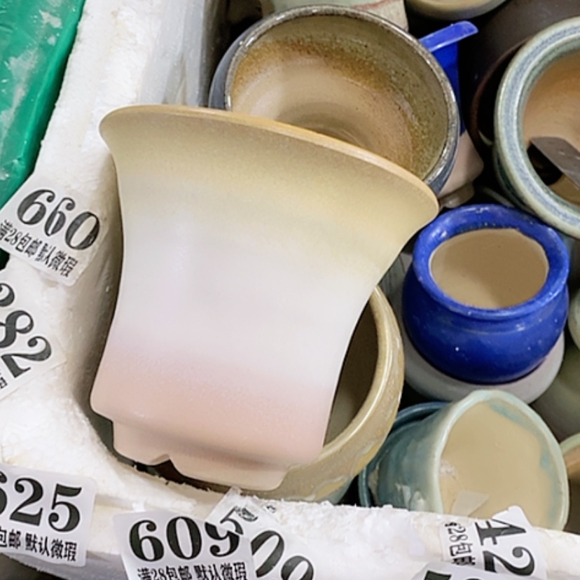 【闪购商品】红陶口11