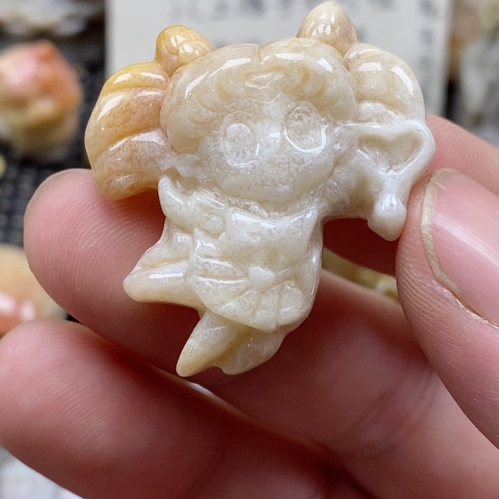 颈饰未镶嵌硅化珊瑚（珊瑚玉）小