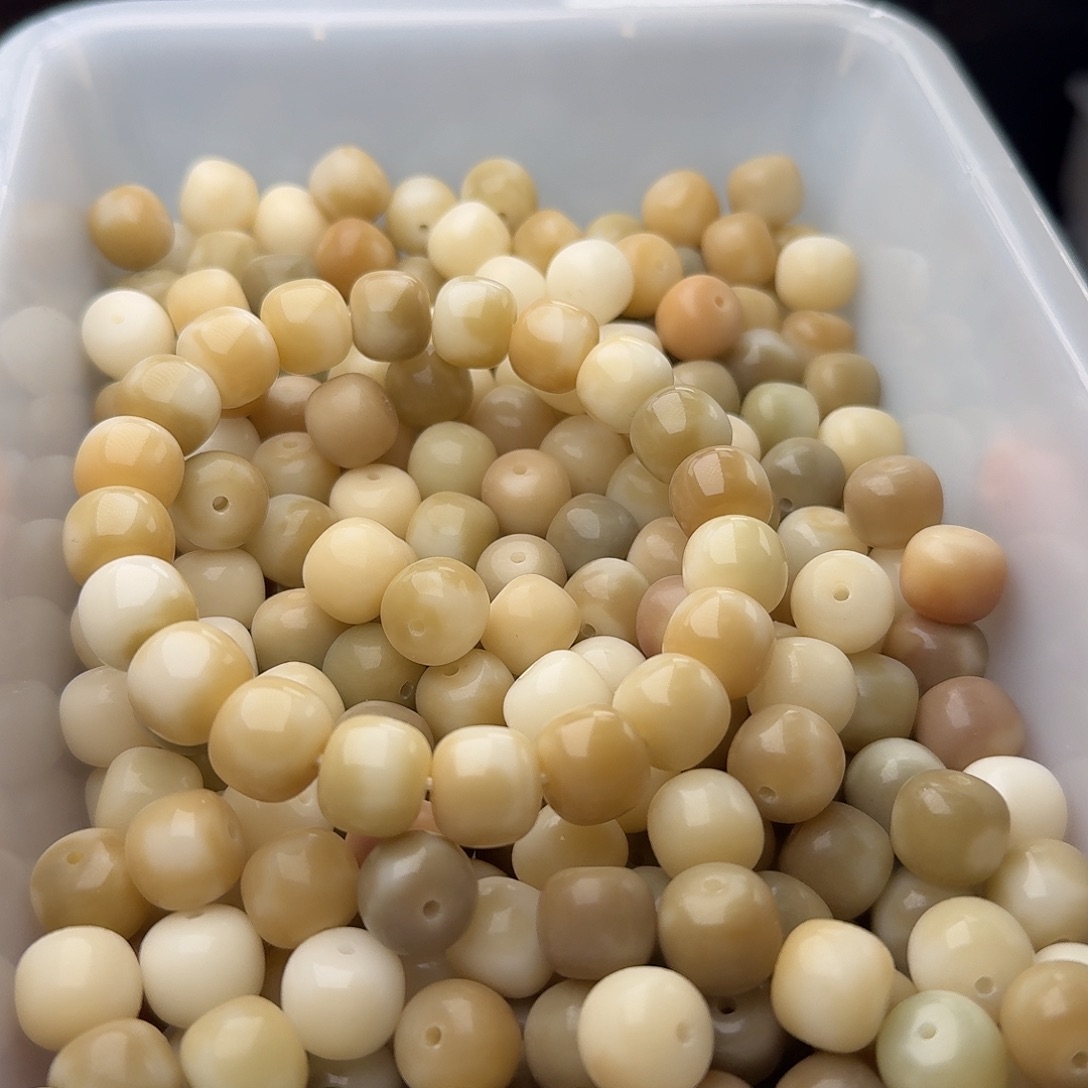 吊坠菩提根/象牙果120 颗烟灰花皮 12 桶