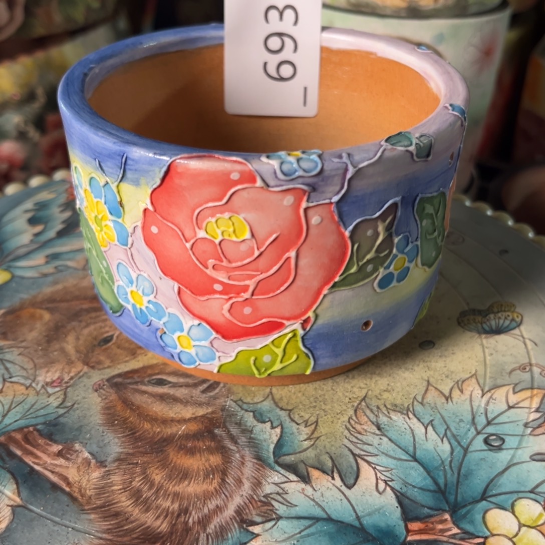 空***也693多肉花盆   1个