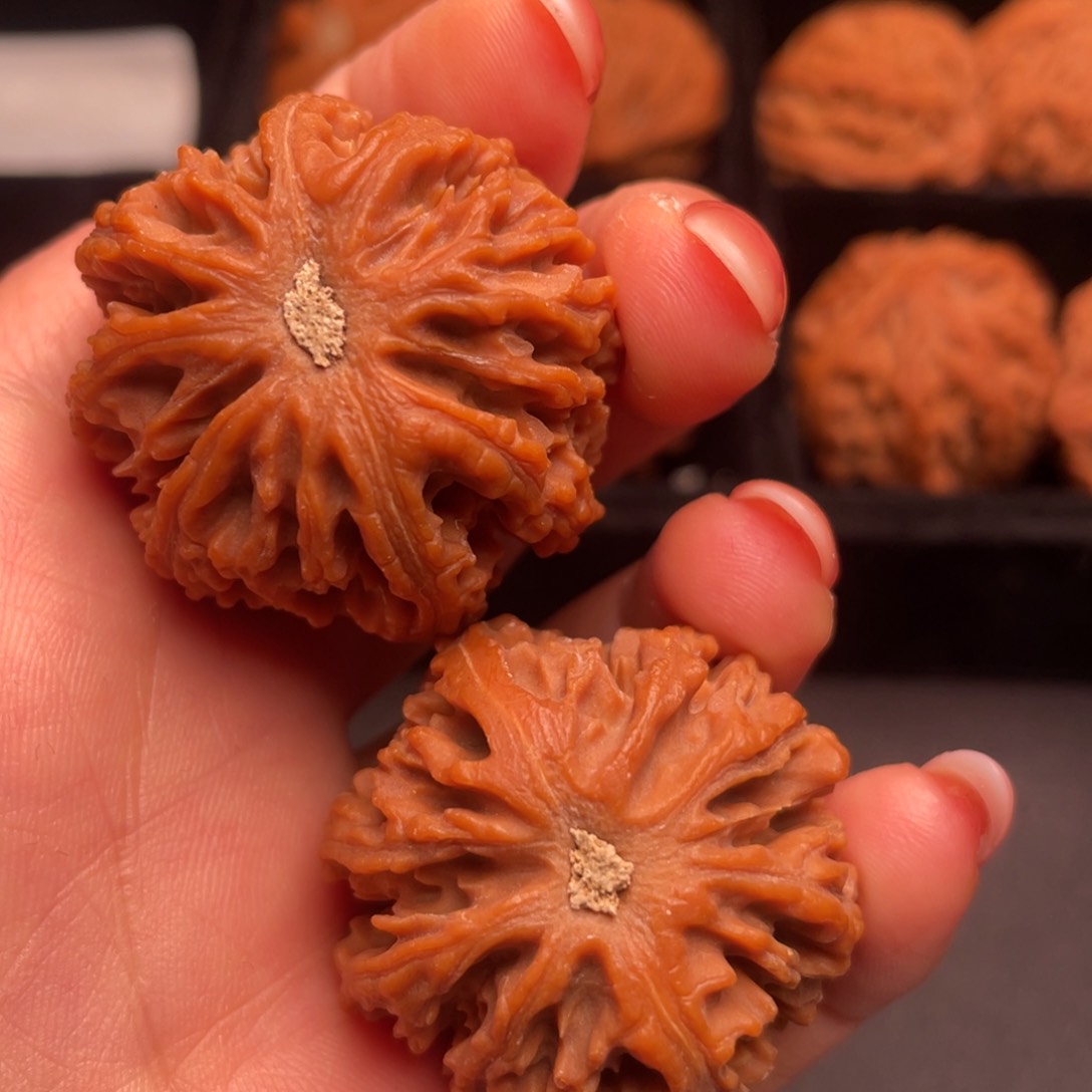 文玩核桃吊坠核桃