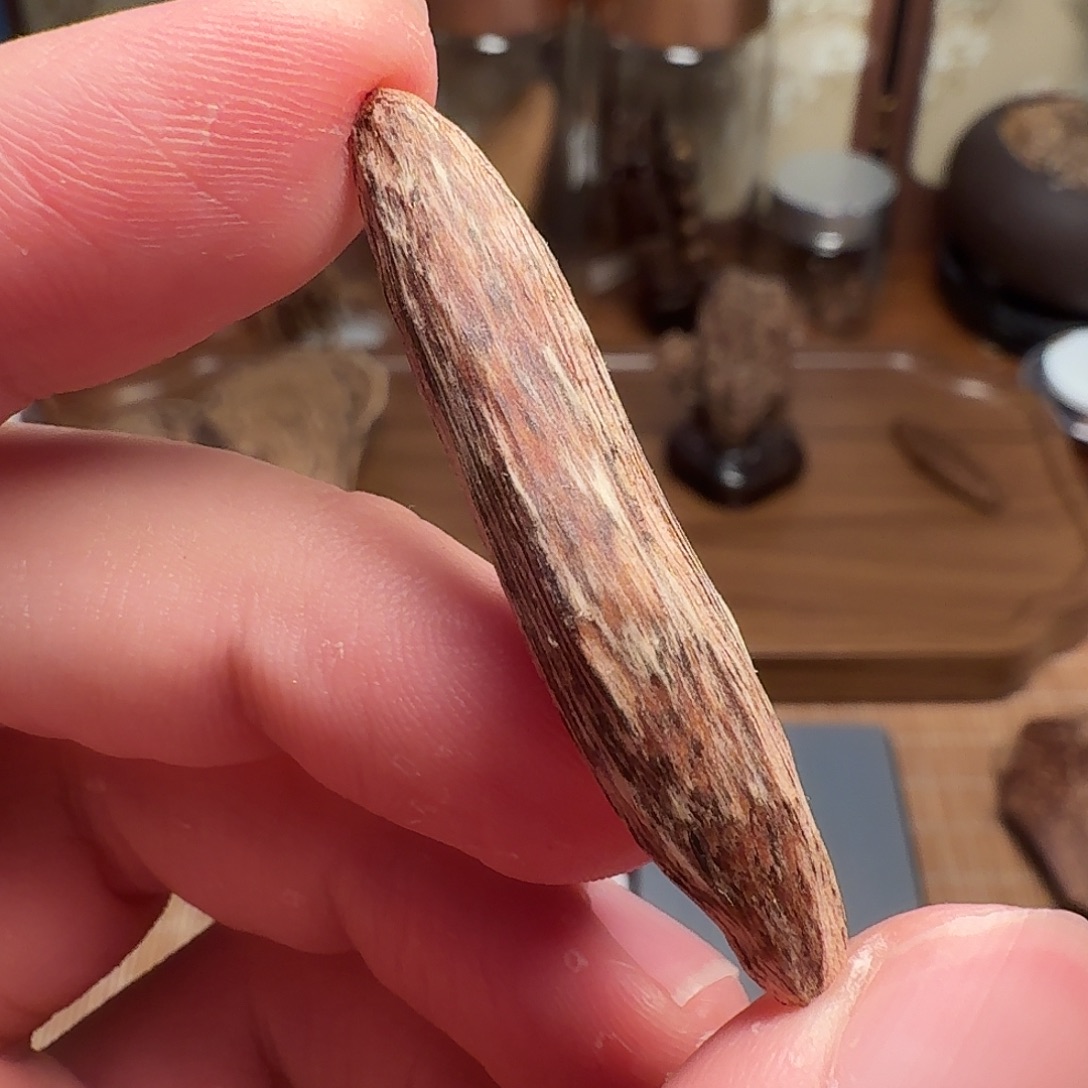 沉香香港大屿山棋韵瓜子