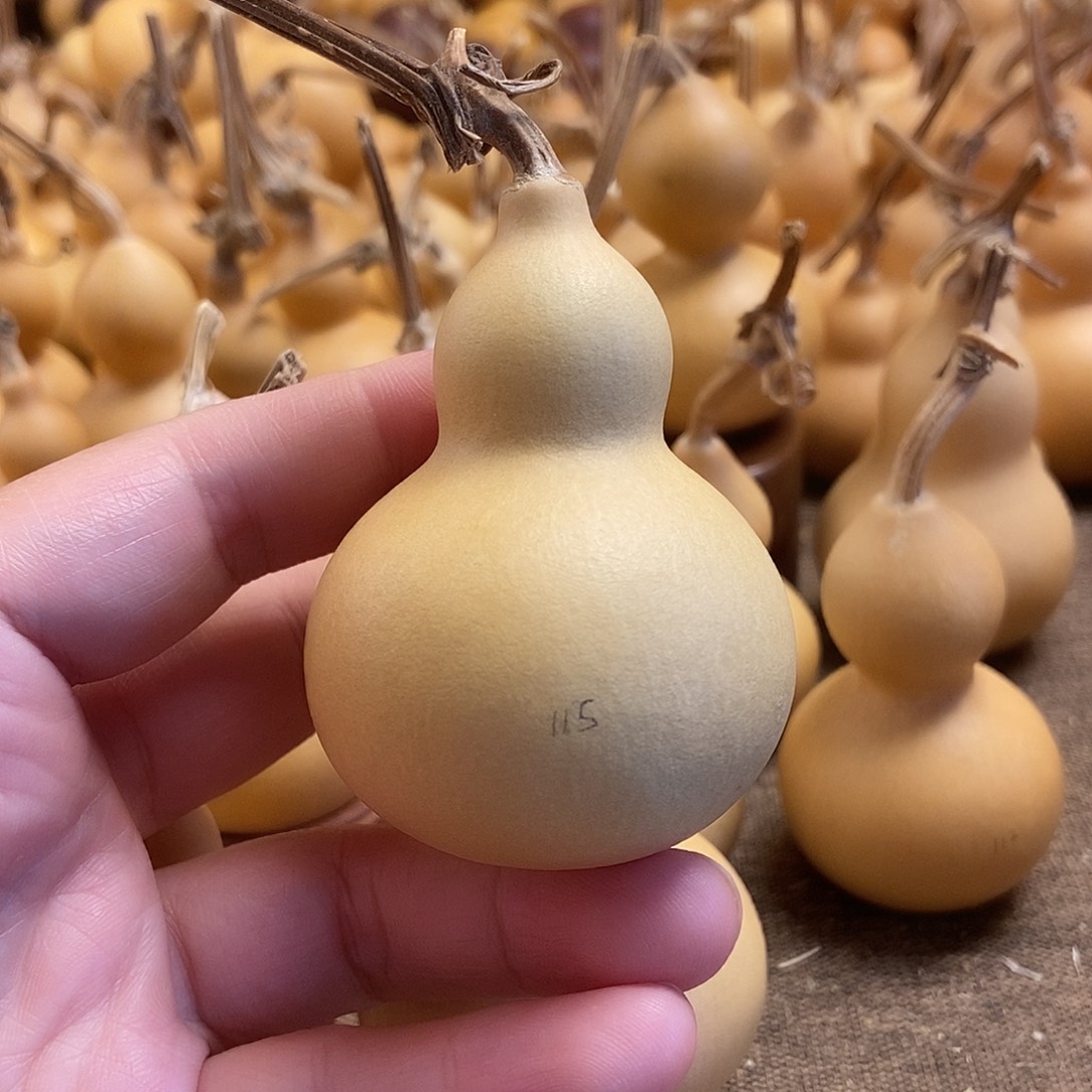 文玩葫芦 完美主义者 慎拍115