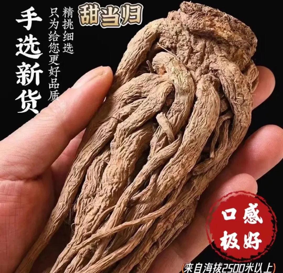A大凉山 甜当归滋补养生煲汤炖肉泡酒煮水