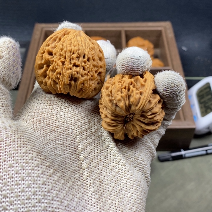 核桃等经济林果地的功效