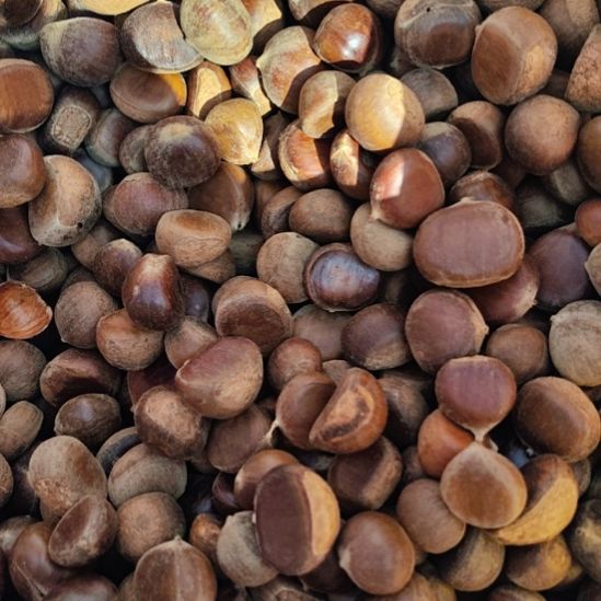 中国大陆寨乐板栗5斤