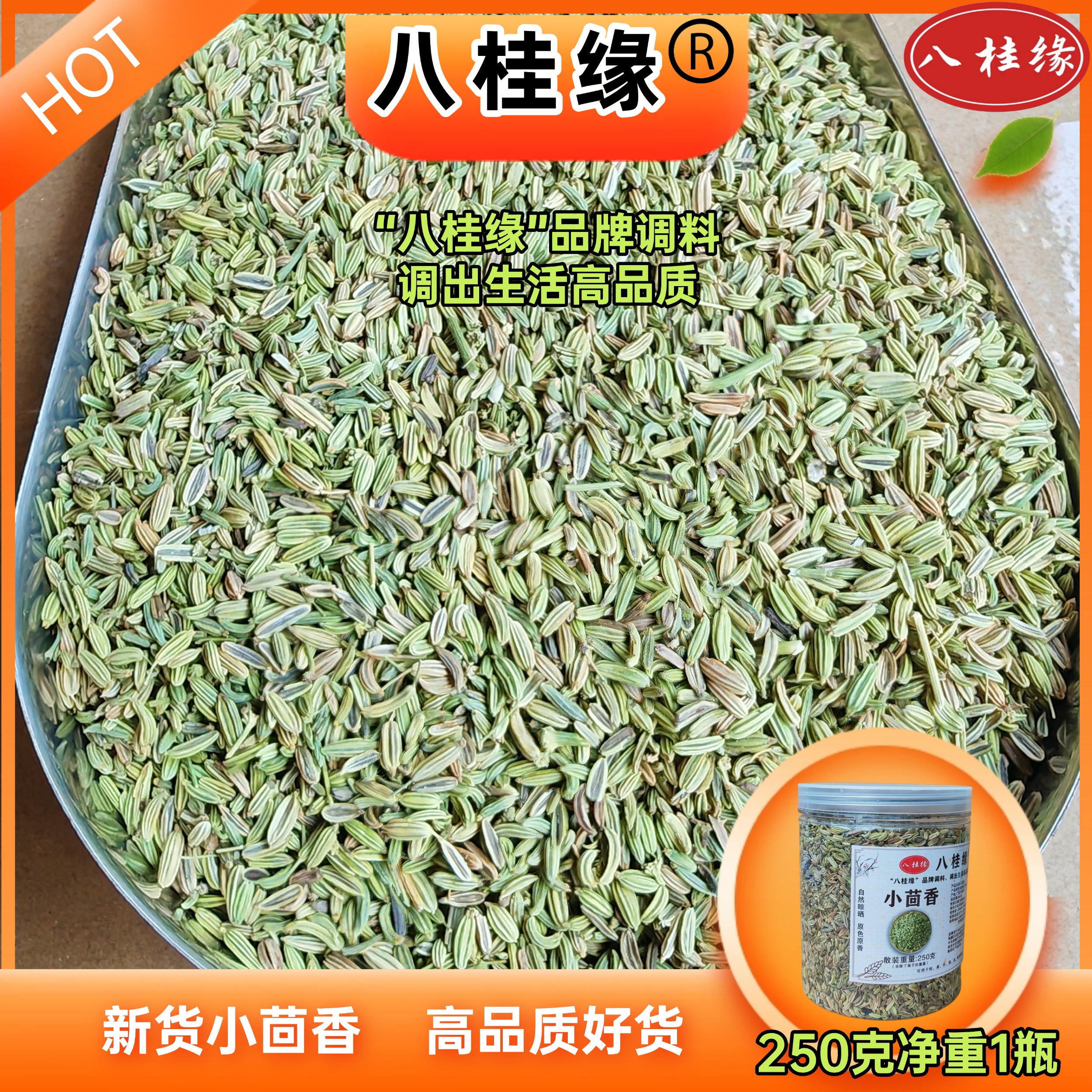 八桂缘品牌小茴香高品质特绿小茴香新货川菜火锅调料炖肉烧烤香料