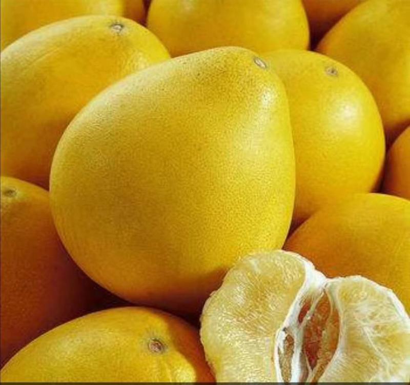 恩施白柚当季新鲜水果多汁超甜农家乡货   大中小随机发 介意勿拍