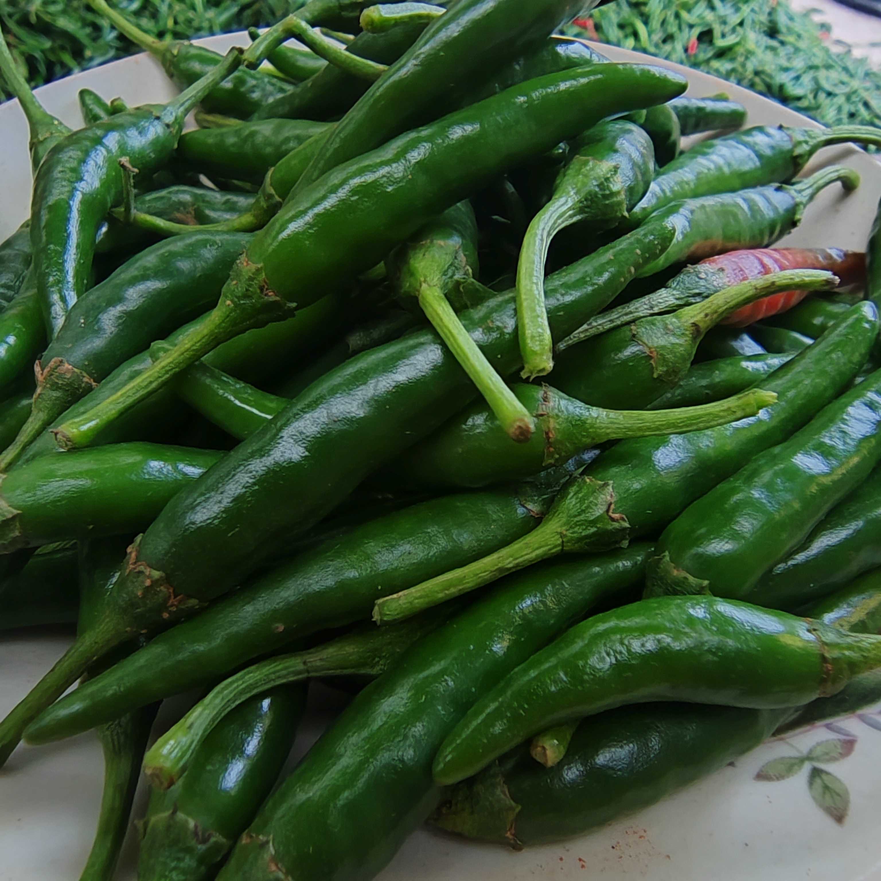 （箐姐专属链接）小米辣青辣椒线椒朝天椒1500g