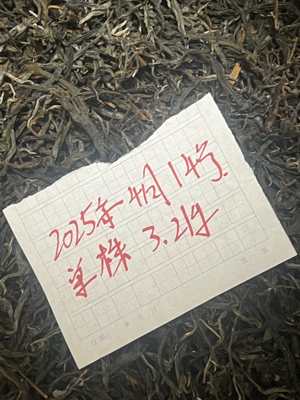 2025年小冰岛正气塘头春古树单株毛茶散料（50克装）