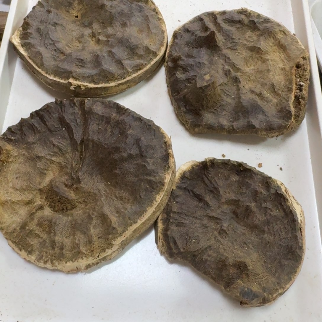 伽***康沉香沉香碎屑奇楠包头120克