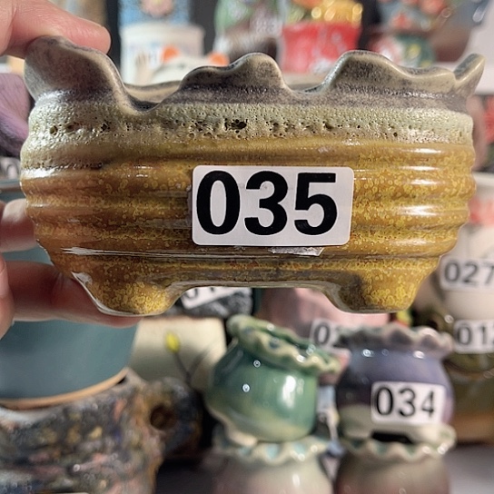 红陶多肉植物花盆