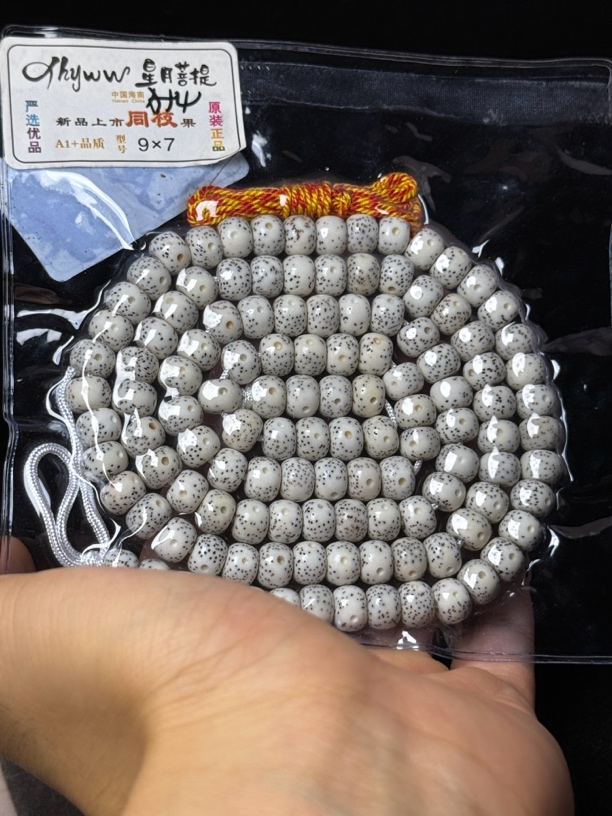 原生态星月菩提精修喇叭孔正月9✖️7