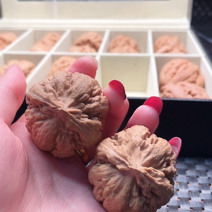 刀***刀霸王龙核桃尺寸40