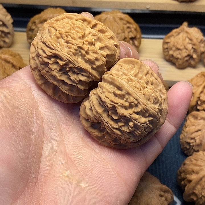 核桃44球白核桃福利