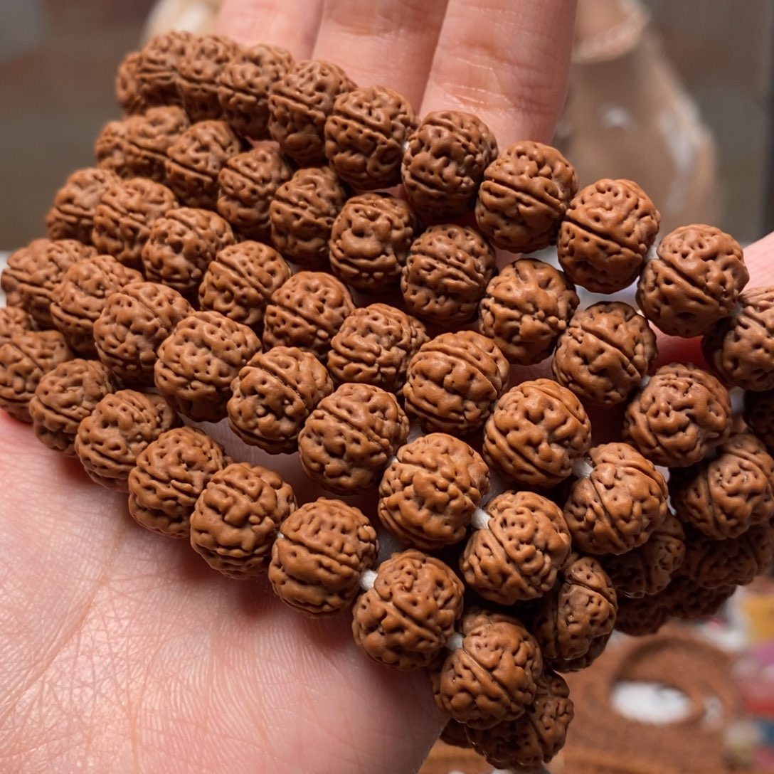 T***y菩提籽类老树王卡12 108 活动