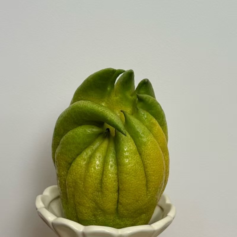 高山香橼果佛手柑天然植物香薰居家车载观赏装饰摆件