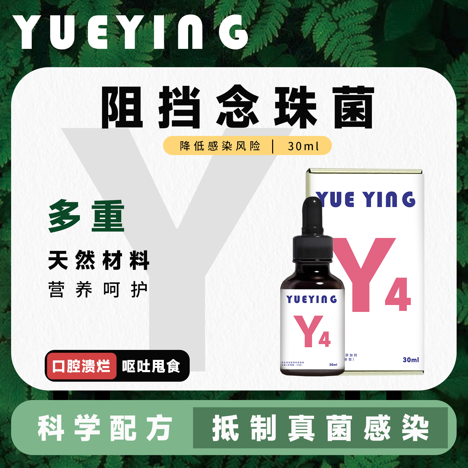 悦鹦Y4念珠菌克星预防和缓解鸟类鹦鹉霉菌感染的霉菌毒素营养