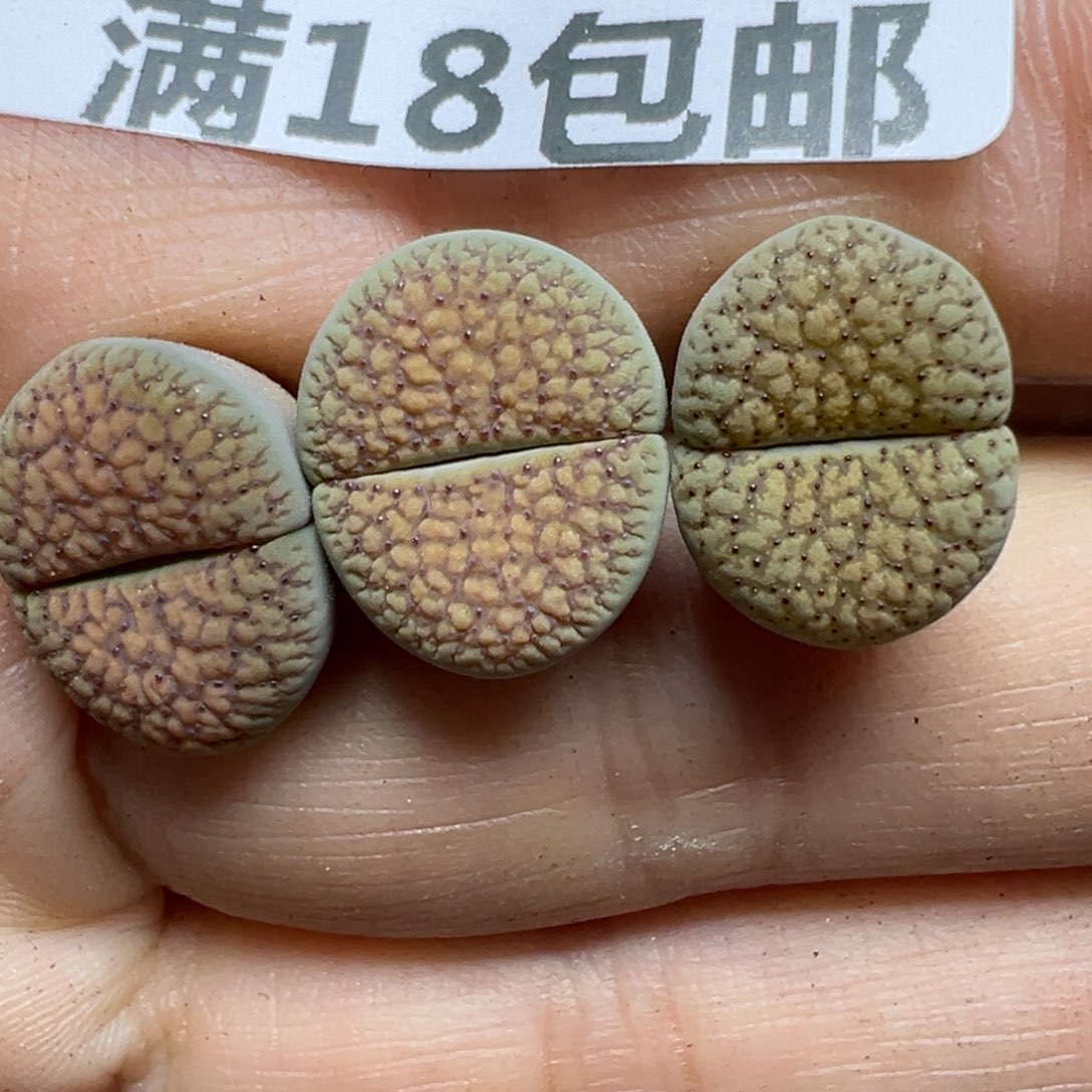 【闪购商品】854……