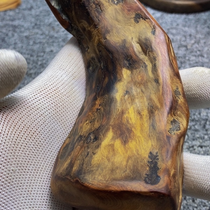 柏木（崖柏）崖柏38