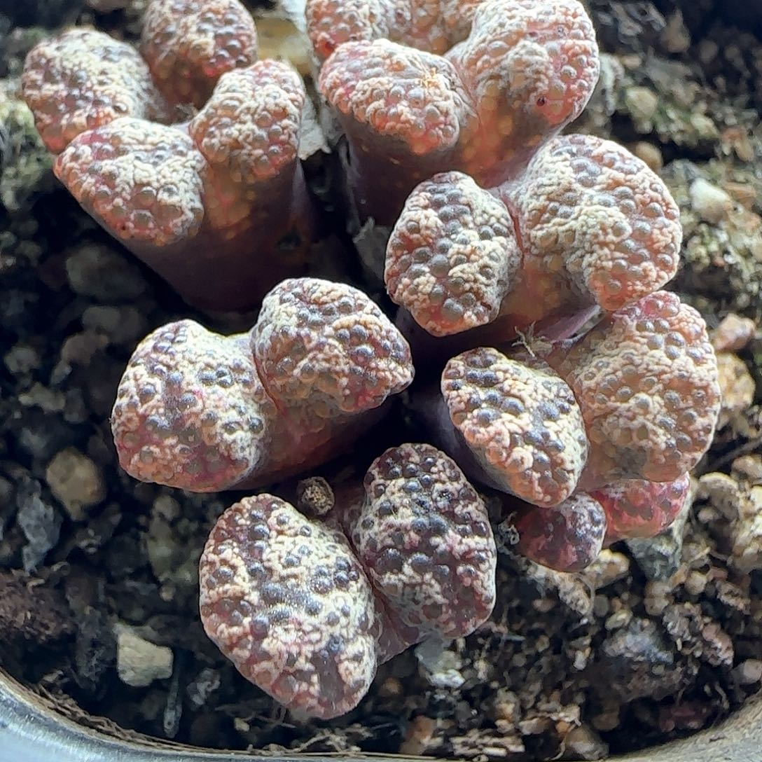 哈哈哈哈哈哈哈47814