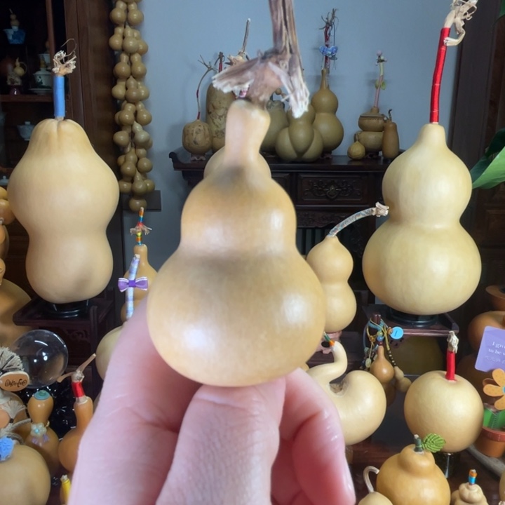 福福小长嘴葫芦实心皮