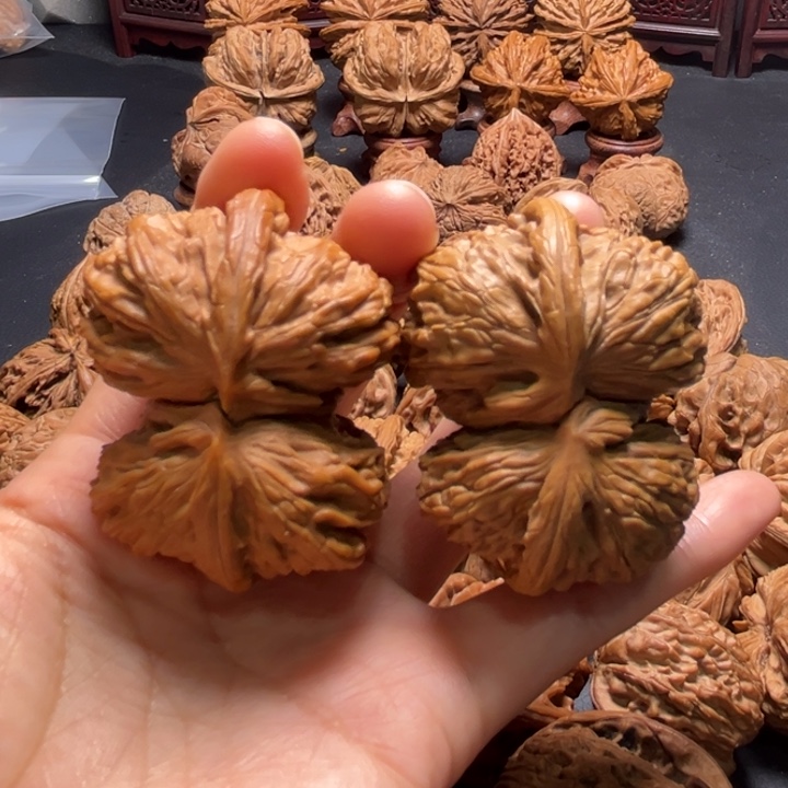 白狮子连体51尺寸核桃哈哈哈哈哈哈