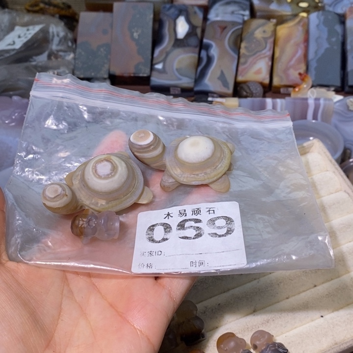 【闪购商品】六*居2557855866