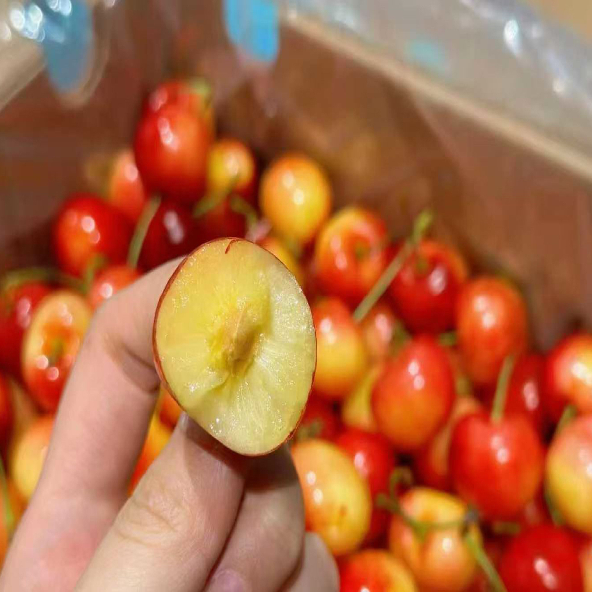 空运智利黄金车厘子雷尼尔 斯凯拉雷2J-4J原箱四斤雷尼尔智利