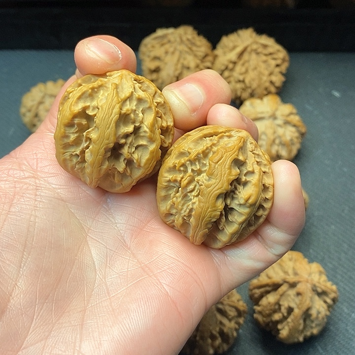 我是一只小小鸟地域鬼的人生