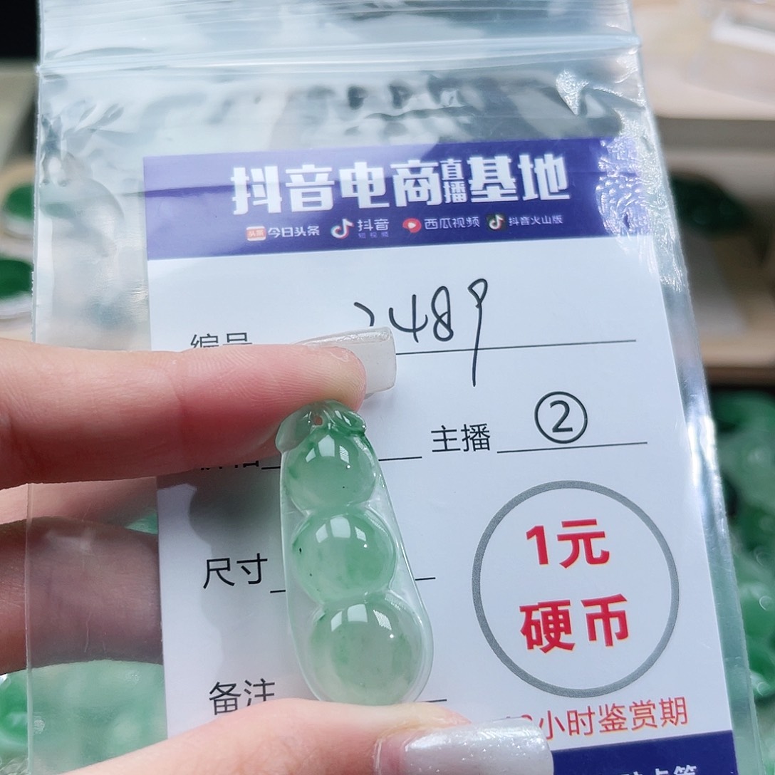 石英质玉未镶嵌颈饰