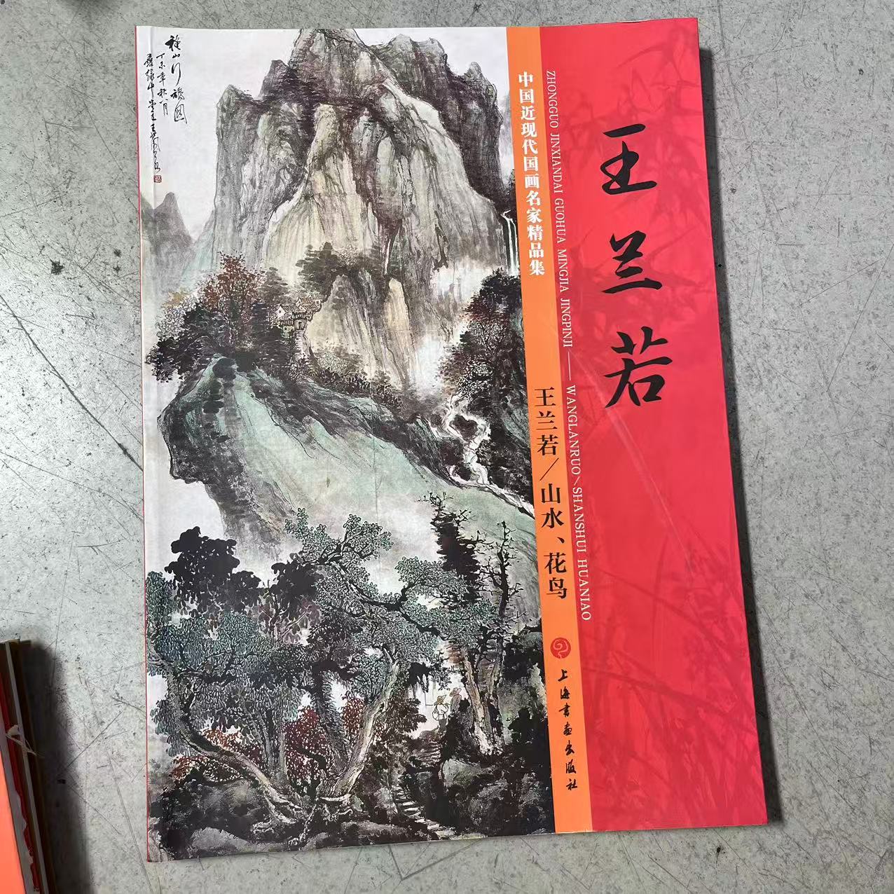 微瑕 8开红皮 王兰若画集 128页