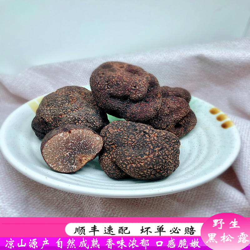 新鲜黑松露四川大凉山猪拱菌现挖块菌山珍鲜货鲜货【顺丰空运】