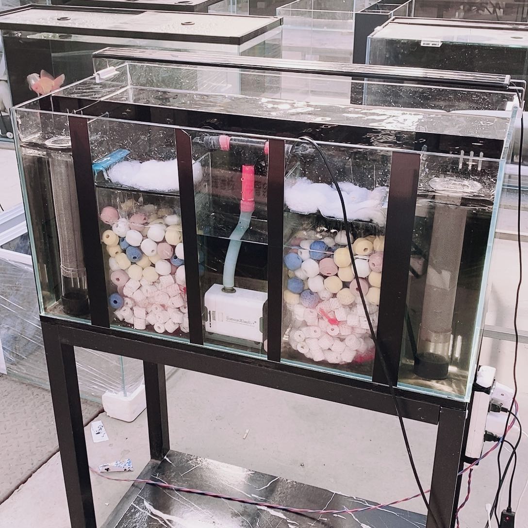 宇***哥玻璃604040背双全套