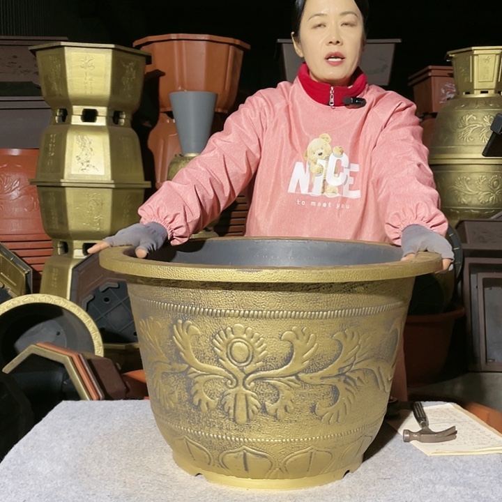 圆盆古铜六零三个