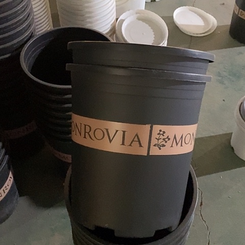 树脂微瑕6加仑5个无托黑色