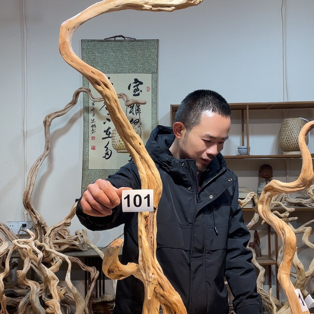 柏木6**5杜鹃花白玉兰已经