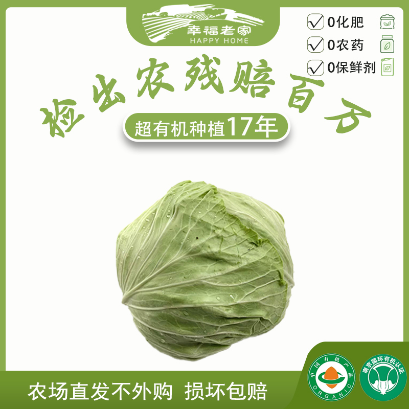 幸福老家有机绿甘蓝1斤  农场种植/ 新鲜采摘 /产地直发 生吃美味