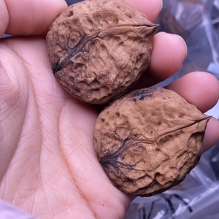 把件文玩核桃   45