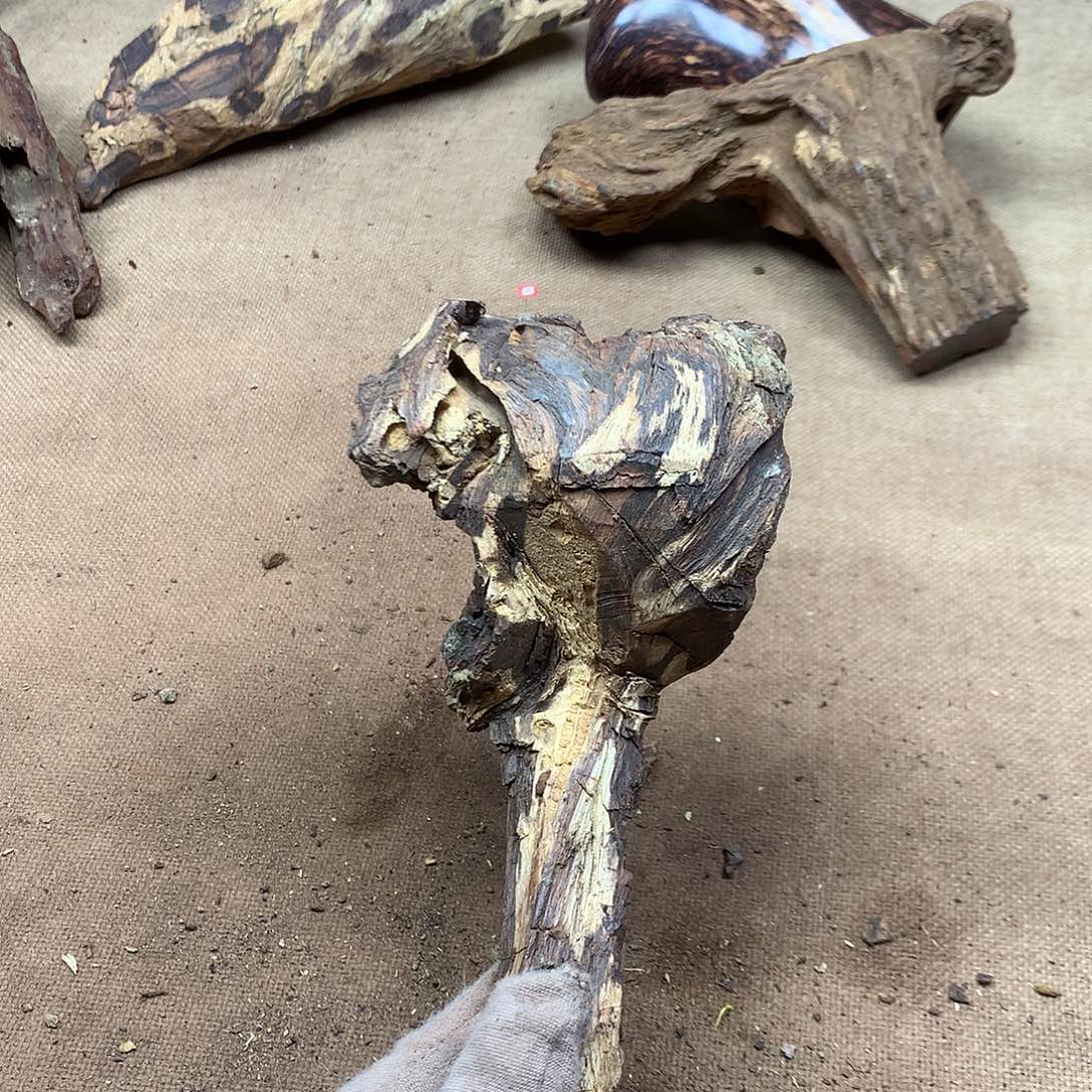 枫***途黄花梨/降香黄檀原材料品香料