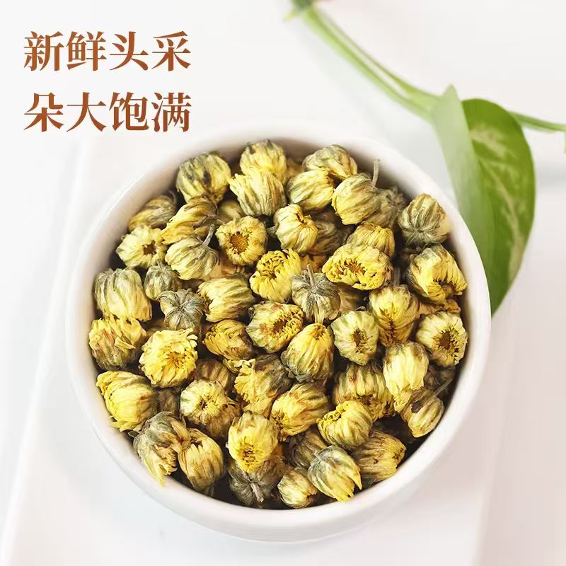 胎菊清香胎菊菊花茶