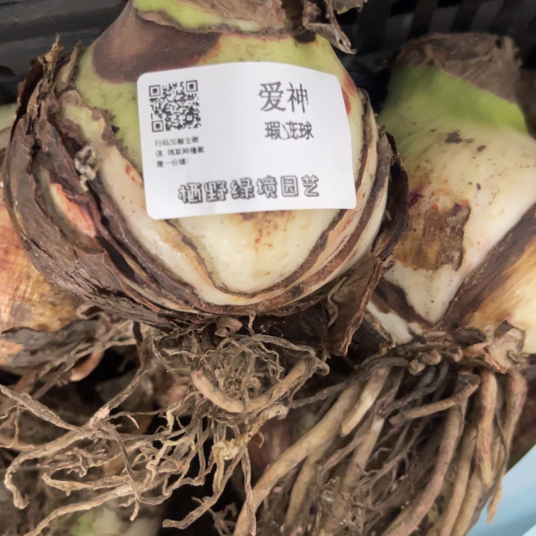 爱神瑕疵球30/32外观不包售后