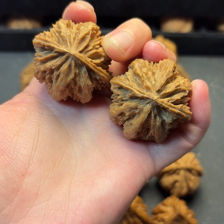 我也不知道我为什么要