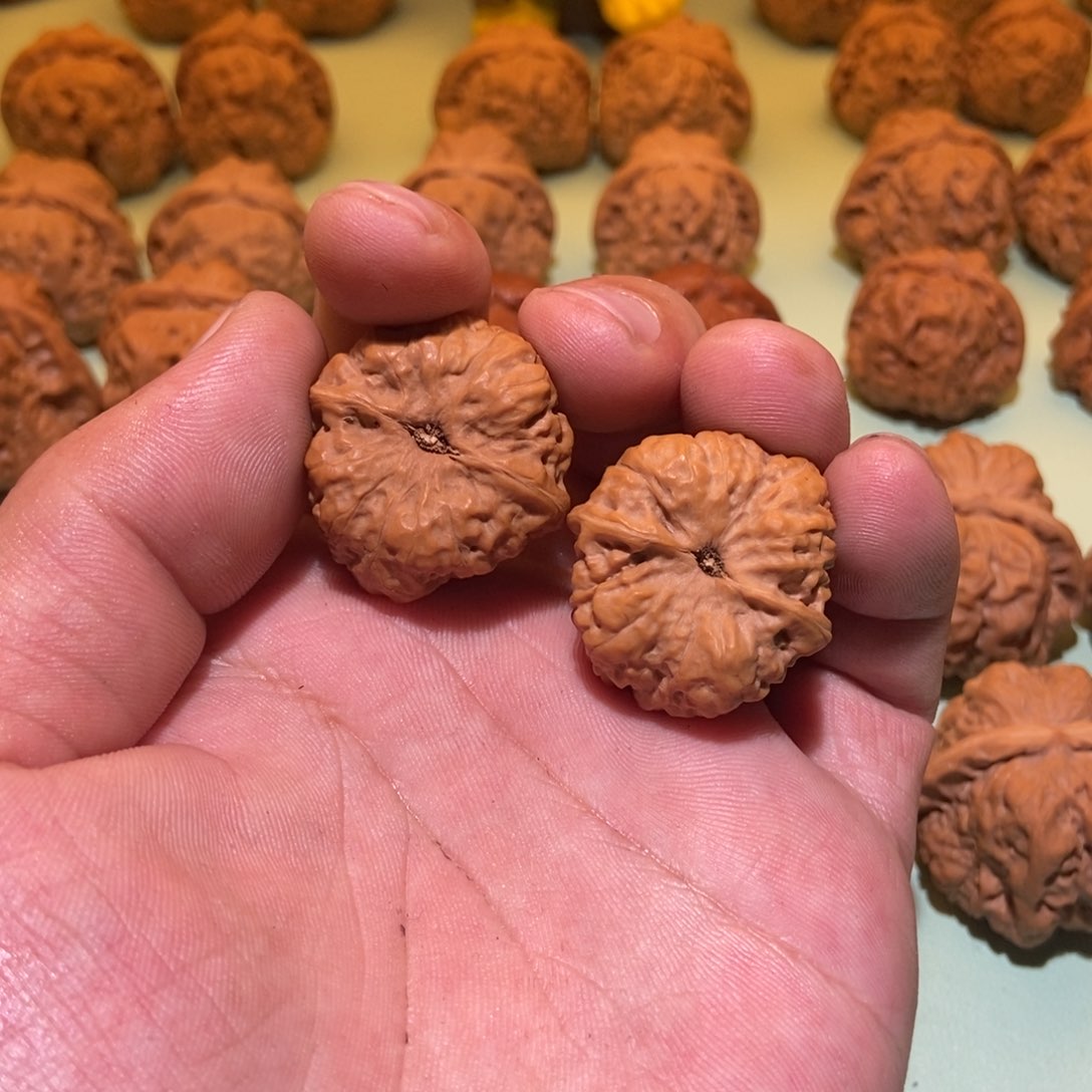 文玩核桃把件牛****¿蛤蟆头31